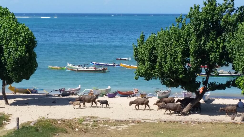 20160425_095112_ergebnis